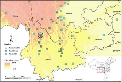 Reproductive Isolation Among Three Nocturnal Moth-Pollinated Sympatric Habenaria Species (Orchidaceae)